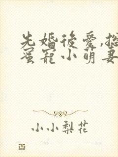 先婚后爱,总裁蜜宠小萌妻