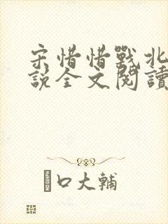 宋惜惜战北望小说全文阅读封面