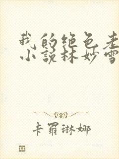 我的绝色老板娘小说林妙雪大结局封面