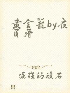 黄金笼by夜很贫瘠