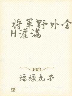 将军野外含公主H灌满