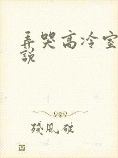 弄哭高冷室友小说