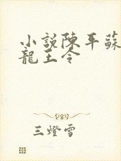 小说陈平苏雨琪龙王令