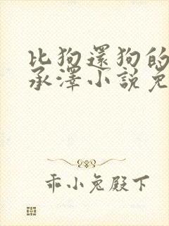 比狗还狗的他魏承泽小说免费阅读全文