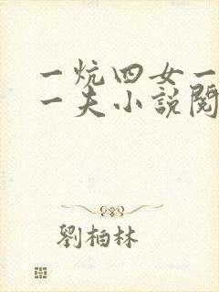 一炕四女一共侍一夫小说阅读封面