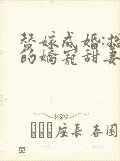 替嫁成婚:总裁的娇宠甜妻封面