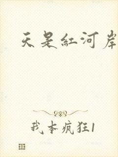 天是红河岸小说封面