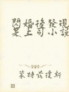 闪婚后发现老公是上司小说免费txt下载