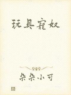 玩具宠奴
