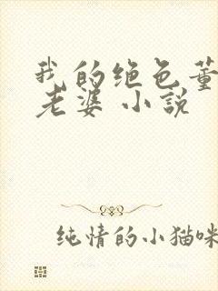我的绝色董事长老婆 小说