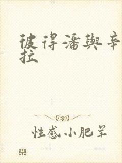 彼得潘与辛德瑞拉