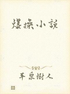 爆操小说