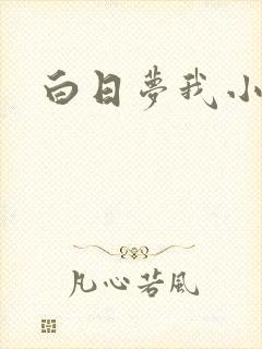 白日梦我小说