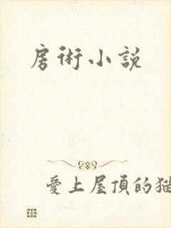 房术小说