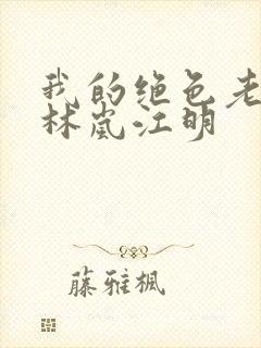 我的绝色老板娘林岚江明