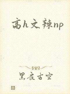 高h文辣np