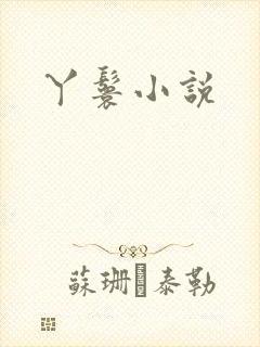 丫鬟小说