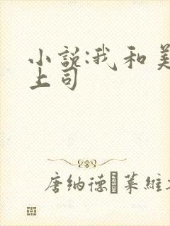 小说:我和美女上司
