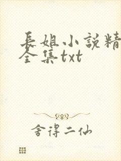 长姐小说精校版全集txt