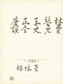 唐正王琴林媛小说全文免费阅读