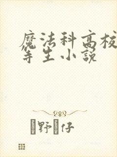 魔法科高校的劣等生小说