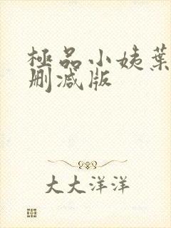 极品小姨叶凡无删减版