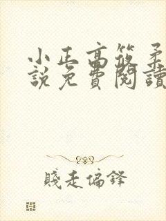 小正高筱柔的小说免费阅读封面