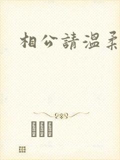 相公请温柔一点封面