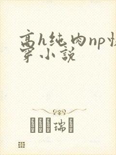 高h纯肉np快穿小说封面