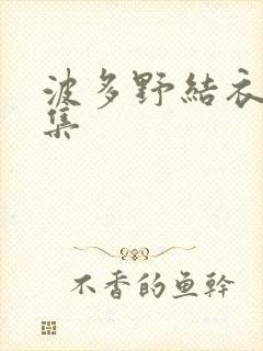 波多野结衣作品集封面