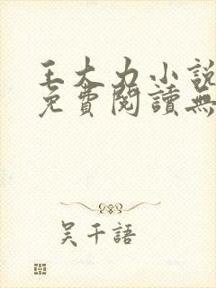 王大力小说小说免费阅读无弹窗