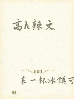 高h辣文