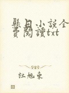 悬日小说全文免费阅读txt封面
