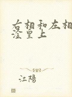 右相和左相一起淦皇上