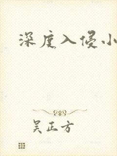深度入侵小说
