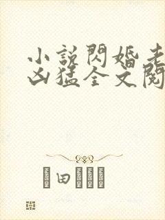 小说闪婚老公太凶猛全文阅读
