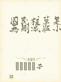 国民校草是女生无删减版小说