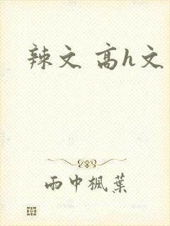 辣文 高h文封面