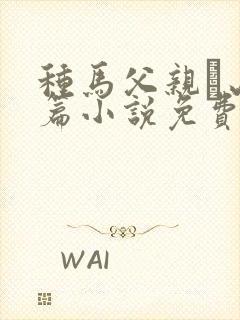 种马父亲·山村篇小说免费阅读