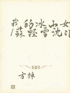 我的冰山女总裁/苏轻雪沈浪