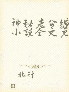神秘老公缠上我小说全文免费阅读