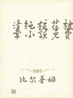 清纯校花被擒日常小说免费阅读全文