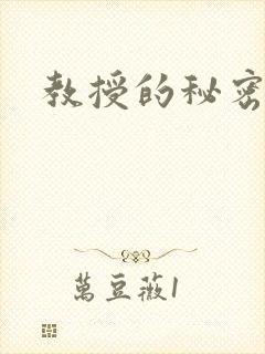 教授的秘密封面
