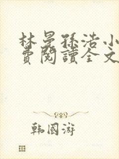 林曼孙浩小说免费阅读全文最新章节