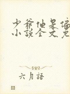 少爷他是偏执狂小说全文免费阅读封面