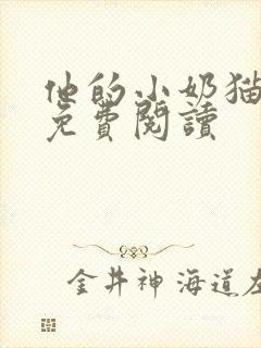 他的小奶猫全文免费阅读