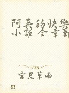 阿兵的快乐生活小说 全章节阅读免费