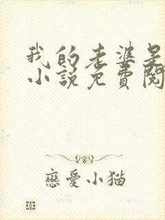 我的老婆是虐狂小说免费阅读