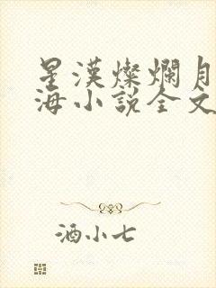 星汉灿烂月升沧海小说全文阅读封面