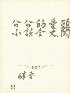 公公的爱顾婉婷小说全文阅读